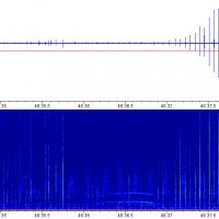 30 - Alexa Hasselman